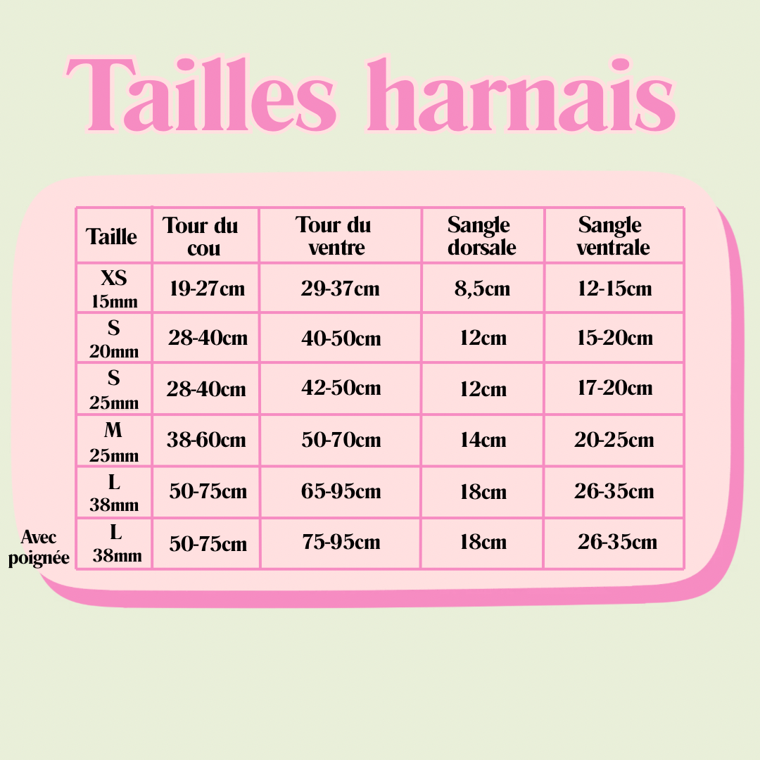 🐶 Harnais "HOMARDS"