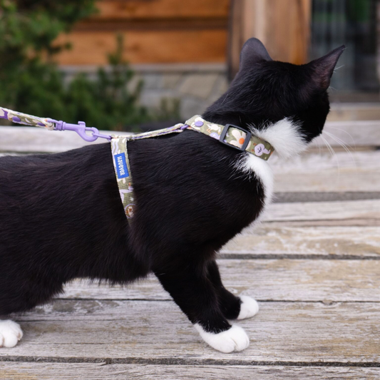 🐱 Harnais pour chat (oies, forme H)