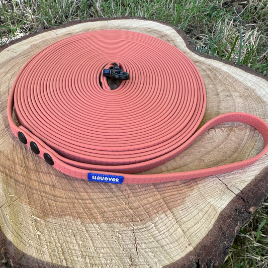 🐶 Longe imperméable pour chien (10 m)