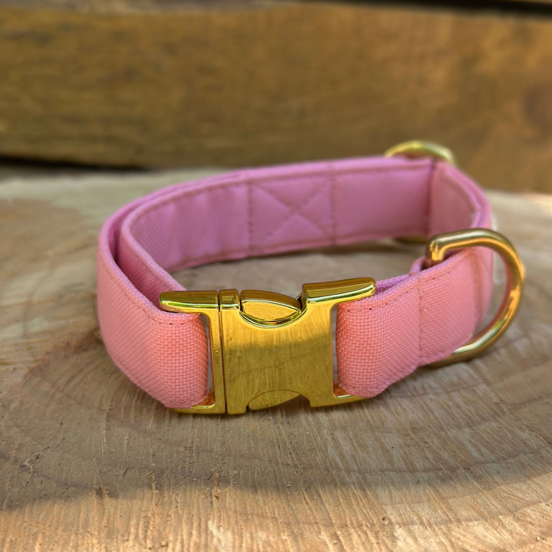 🐶 Collier en tissu imperméable pour chiens – Jolie Balade