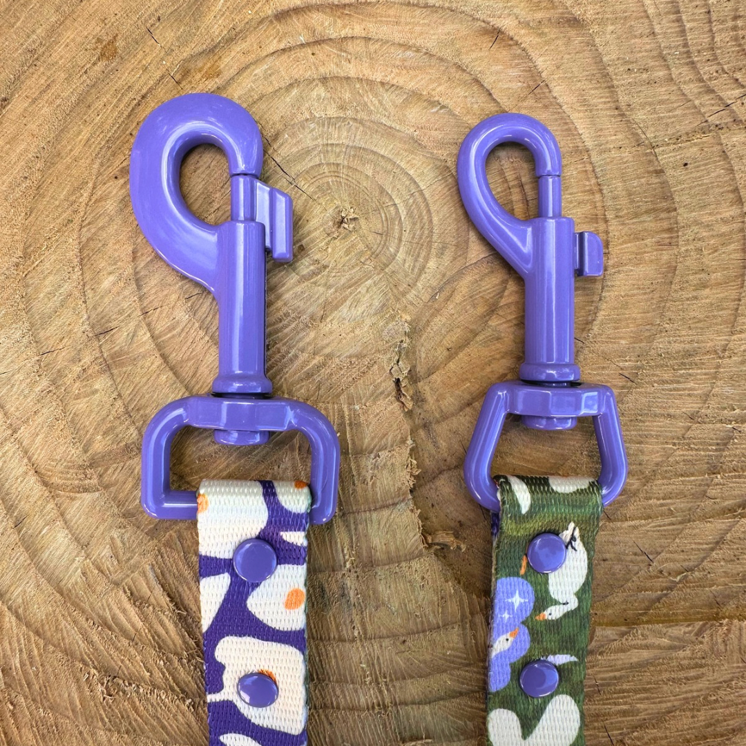 🐶 Laisse 3 points pour chien 250cm (fleurs)