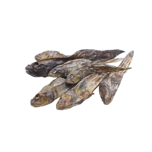 🐶 Poissons gobies pour chien