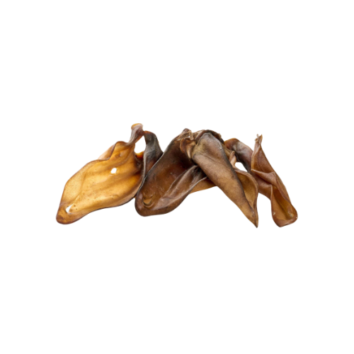 🐶 Oreilles de mouton pour chien