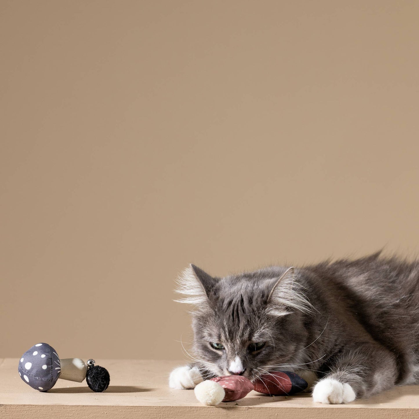 đ± Ensemble de jouets pour chat - AUTOMNE