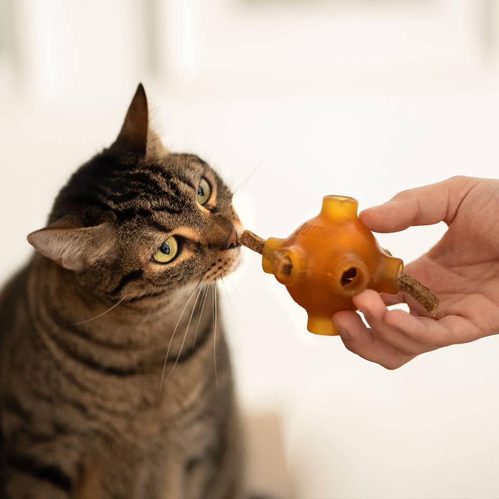🐱 Bâtonnets dentaire (poulet)