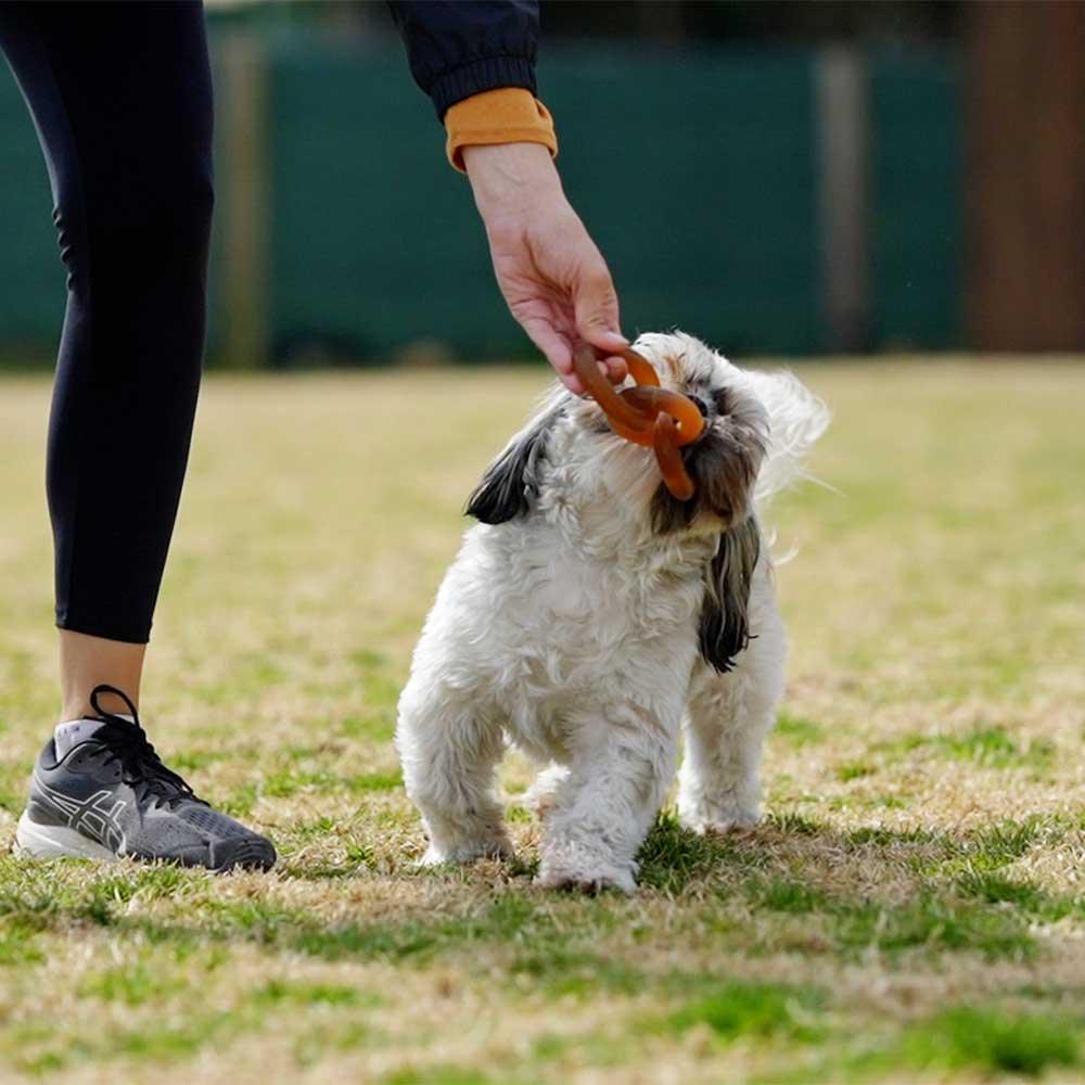 🐶 Jouet chaînes en résine organique - Les p'tits potes