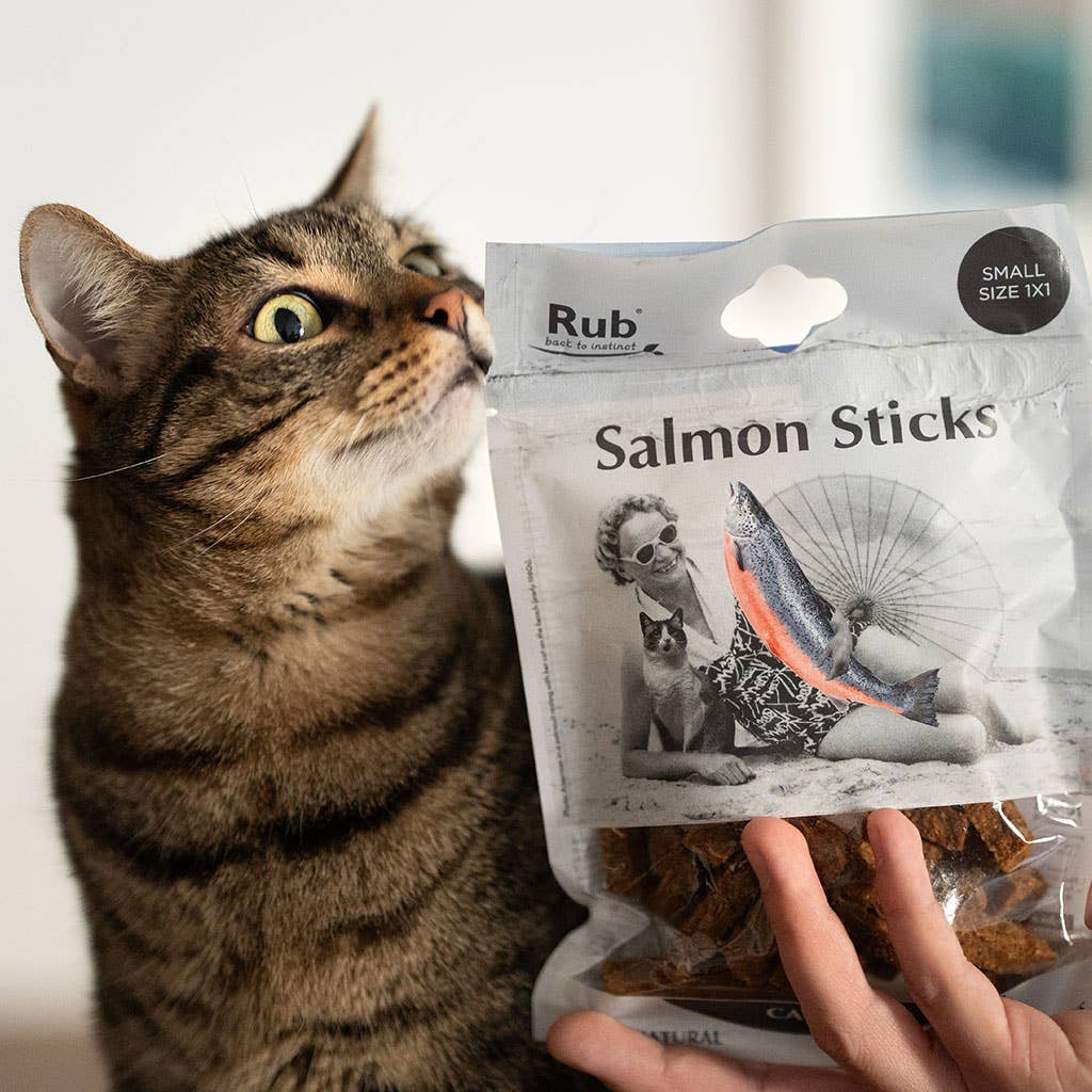 🐱 Bâtonnets dentaire (saumon)