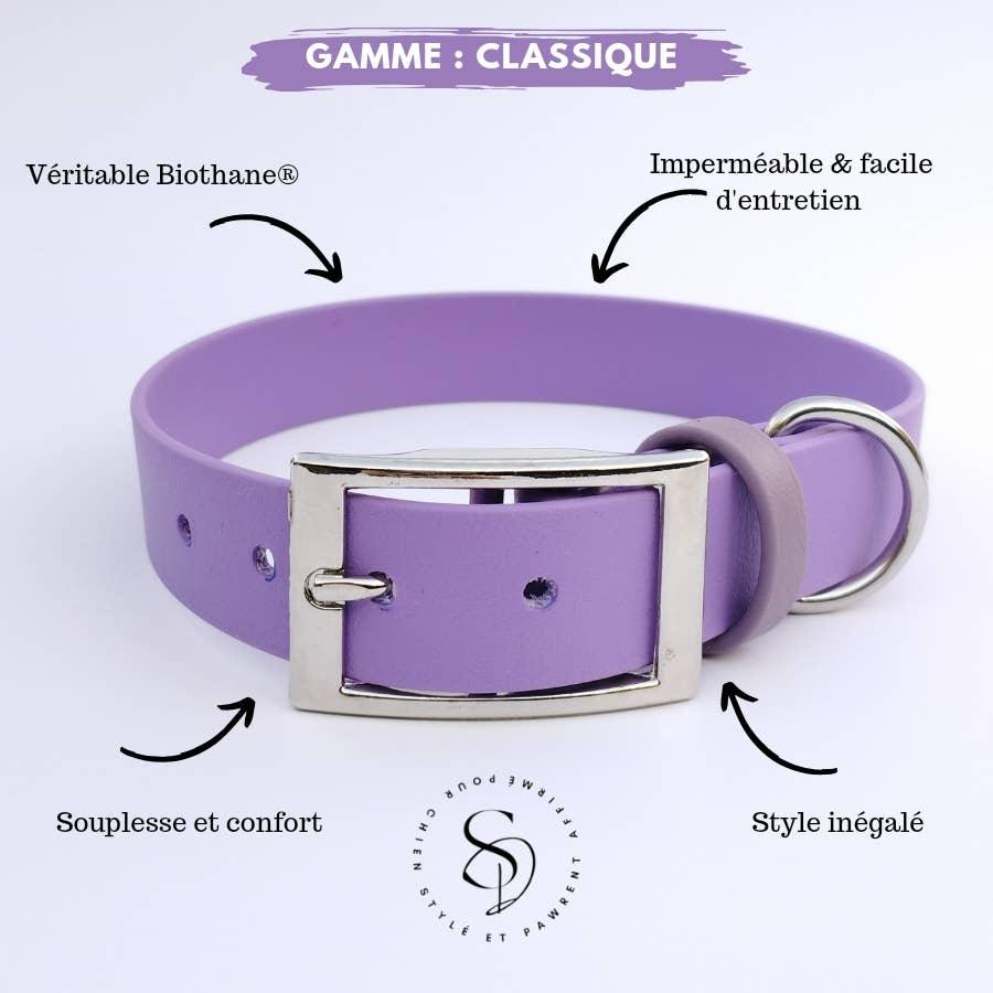 🐶 Collier en Biothane (Aubergine) - Les p'tits potes