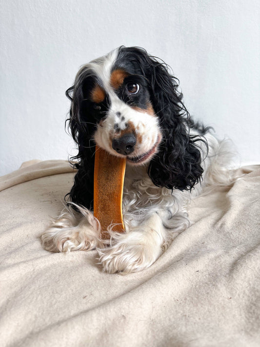 🐶 Bois de cerf tranché fumé au jambon