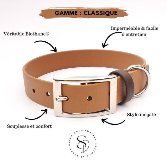 🐶 Collier en Biothane (Noisette) - Les p'tits potes
