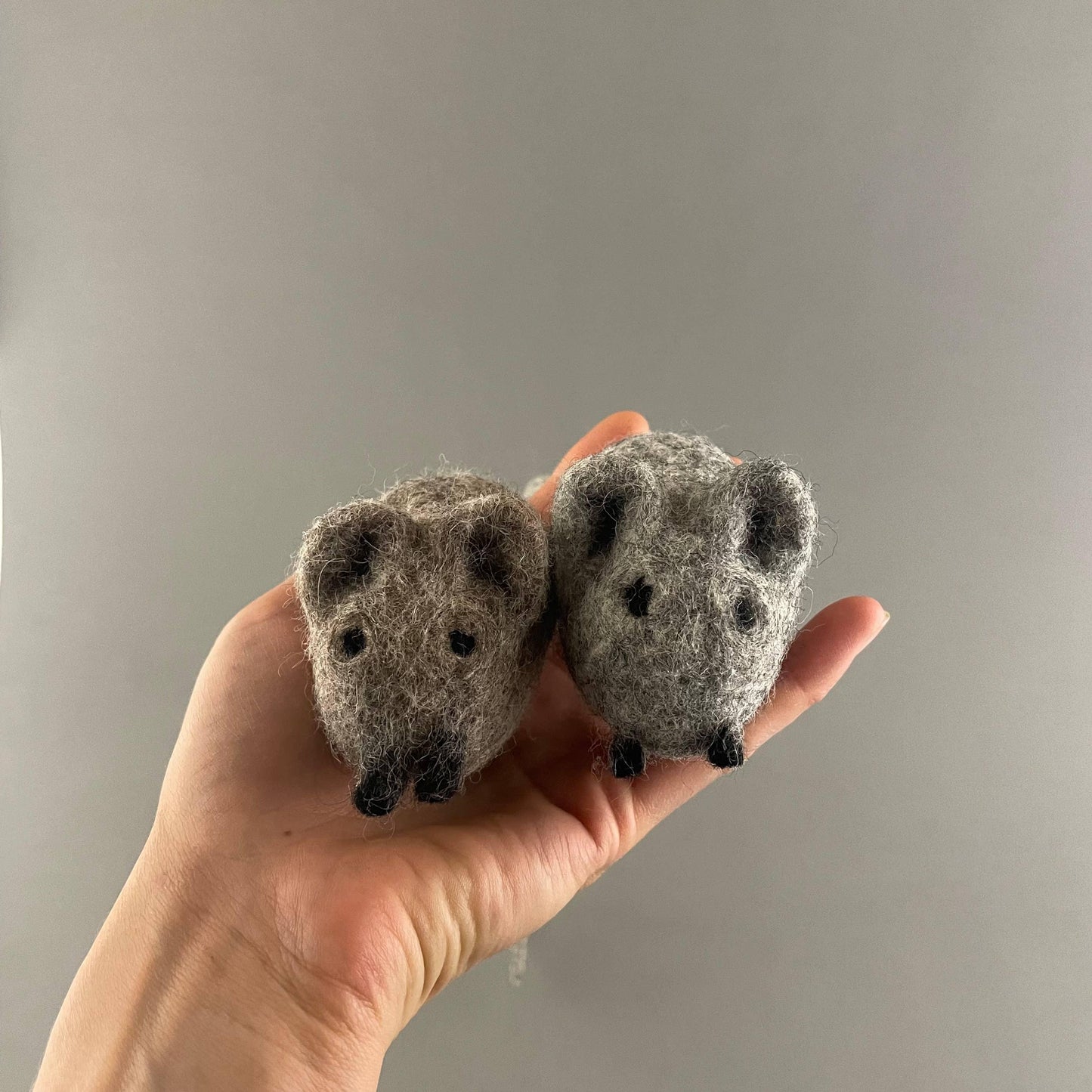 🐱 Ensemble de 5 jouets en laine naturelle et chanvre - Les p'tits potes