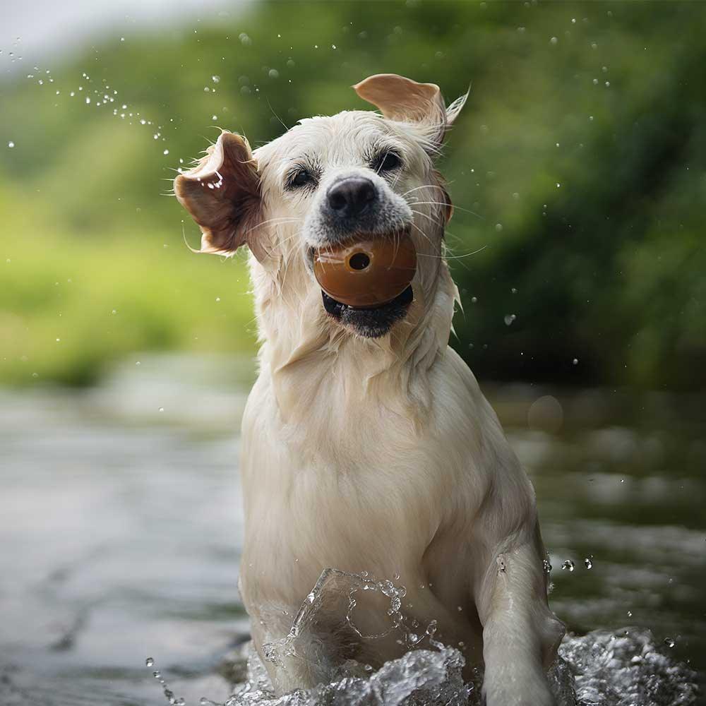 🐶 Balle(s) en résine organique - Les p'tits potes