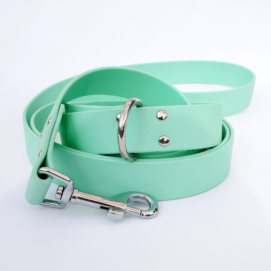 🐶 Laisse bandoulière en Biothane (Menthe) - Les p'tits potes