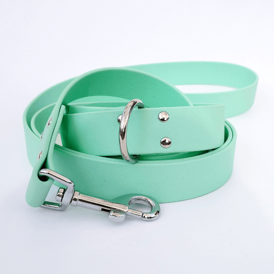 🐶 Laisse bandoulière en Biothane (Menthe) - Les p'tits potes