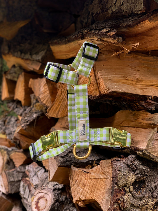 🐶 Harnais "VICHY VERT"