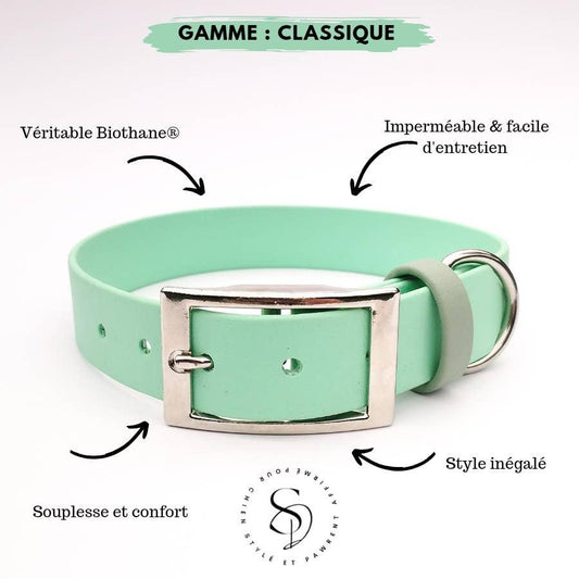 🐶 Collier en Biothane (Menthe) - Les p'tits potes
