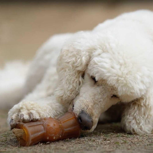 🐶 Jouet à remplir en résine organique - Les p'tits potes