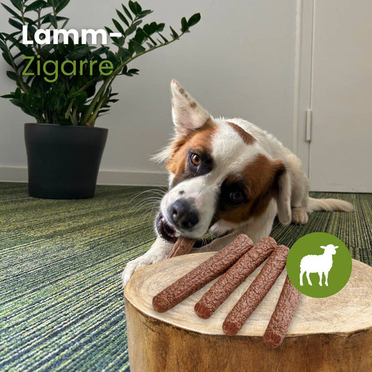 🐶 Friandises cigares à l'agneau pour chien