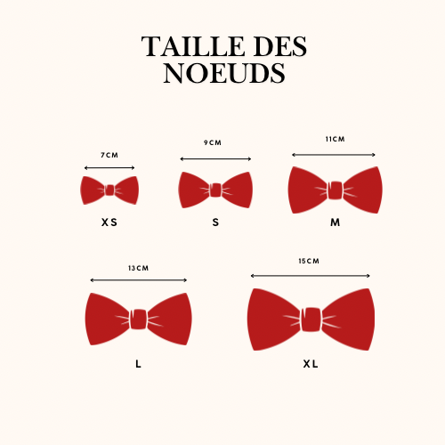 🐶 Nœuds de Noël