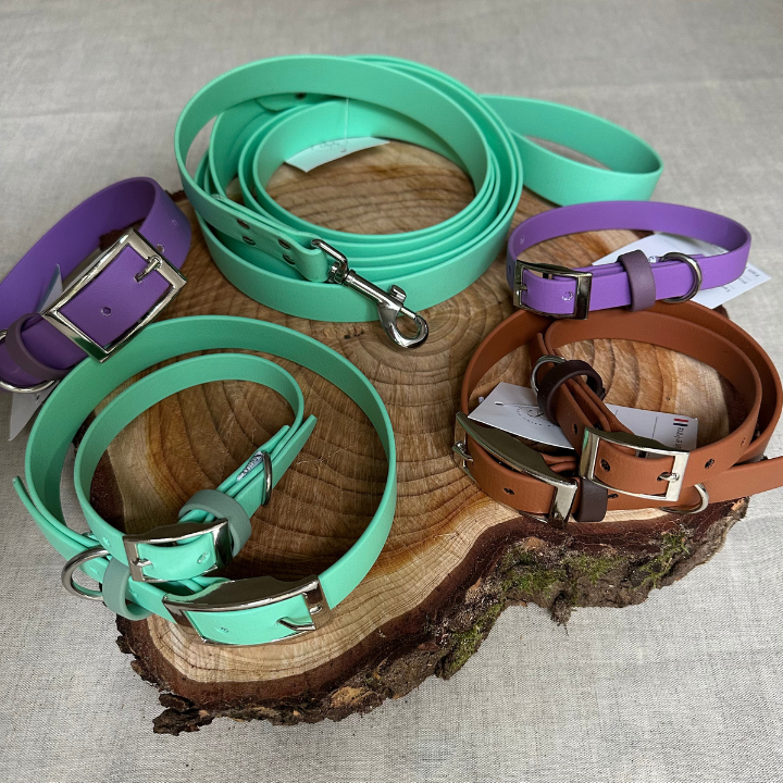 Accessoires 🐶 - Les p'tits potes