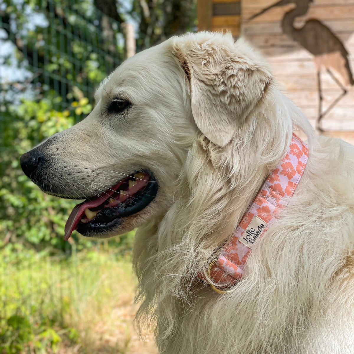 Collier Martingale