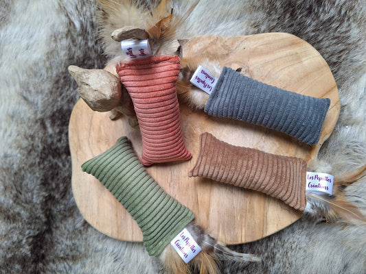 🐱 Petit KICK plumes