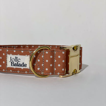 🐶 Collier "CANNELLE" pour chien