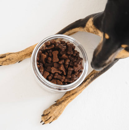 🐶 Friandises Gizzls pour chiens - Foie & Myrtilles (150g)