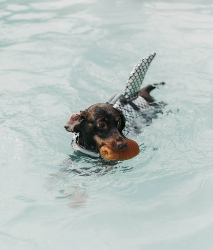 🐶 "BOUNCY" en résine