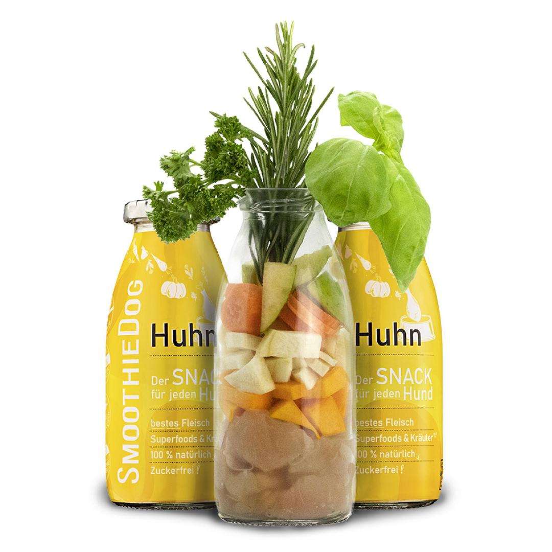 🐶 Smoothie au poulet pour chien