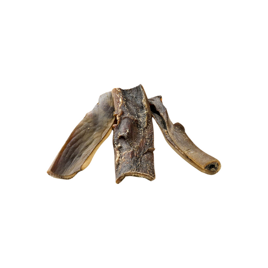 🐶 Peaux de chameaux - Mastication