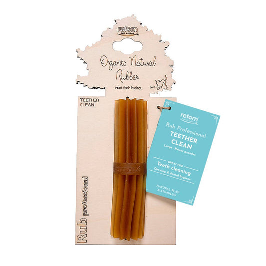🐶 "STICK DENTAIRE" en résine