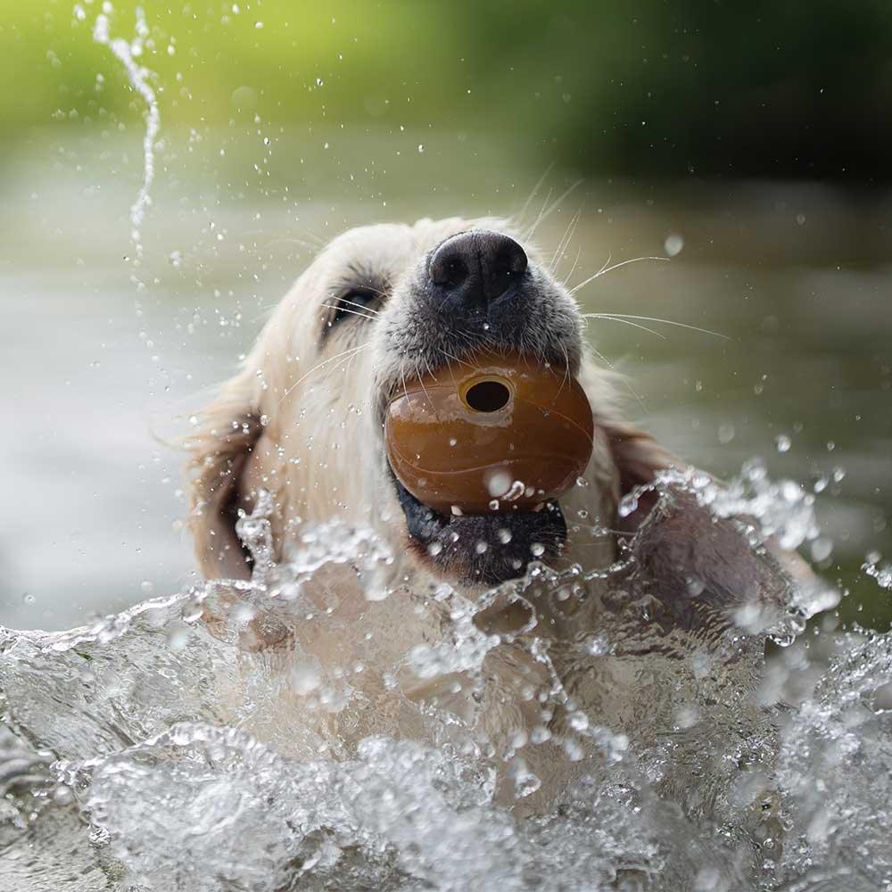 🐶 Balle(s) en résine organique - Les p'tits potes