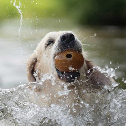 🐶 Balle(s) en résine organique - Les p'tits potes