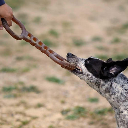 🐶 Jouet "tir à la corde" en résine organique - Les p'tits potes