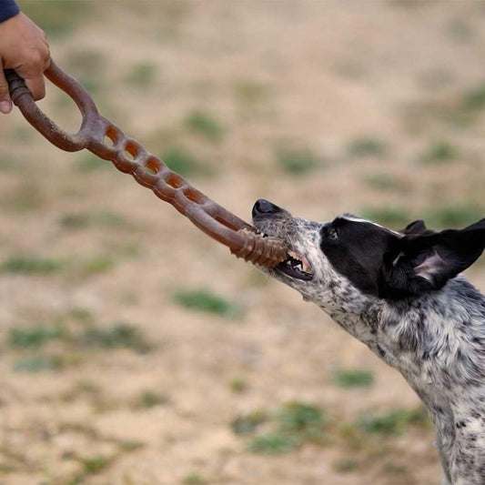 🐶 Jouet "tir à la corde" en résine organique - Les p'tits potes