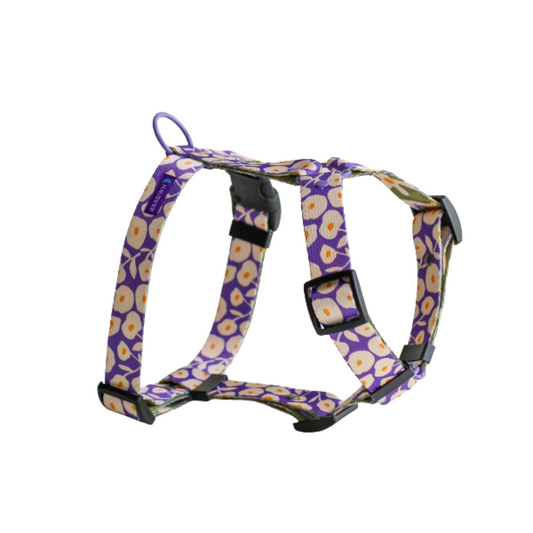 🐶 Harnais pour chien (fleurs) - Hauever