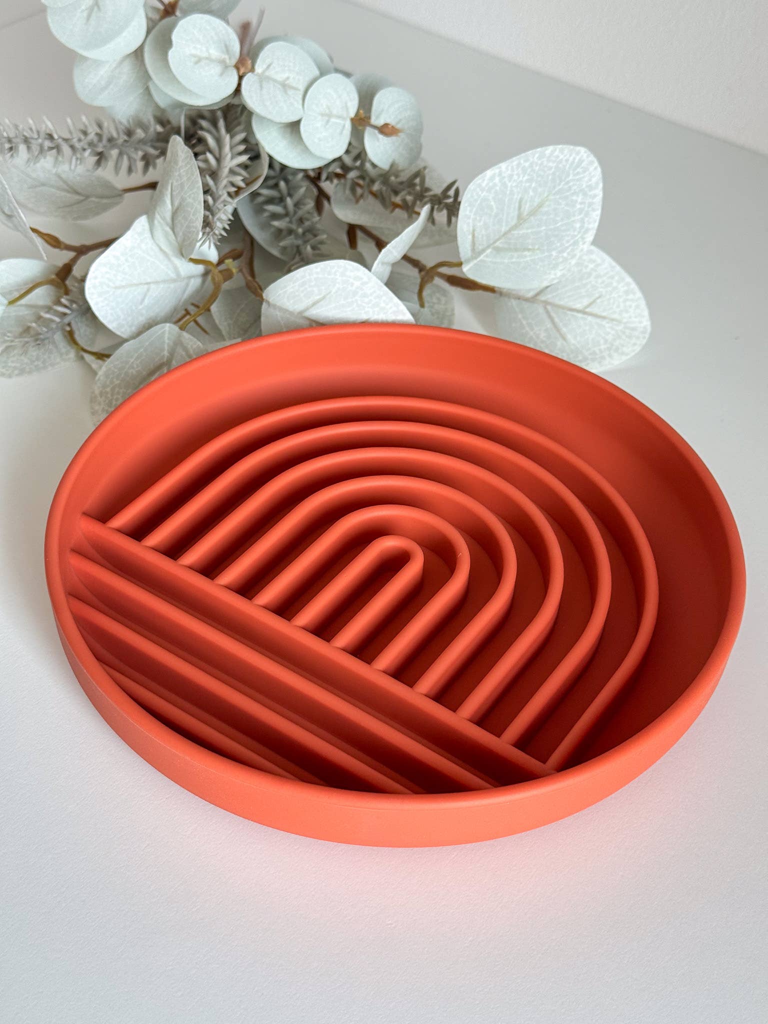 🐶 Bol de léchage à ventouse arc-en-ciel pour chien (Slow feeder) - Les p'tits potes