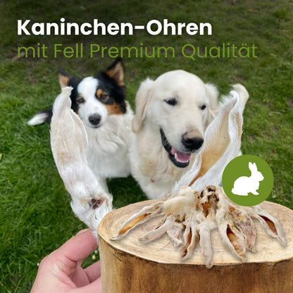 🐶 Oreilles de lapin avec fourrure pour chien