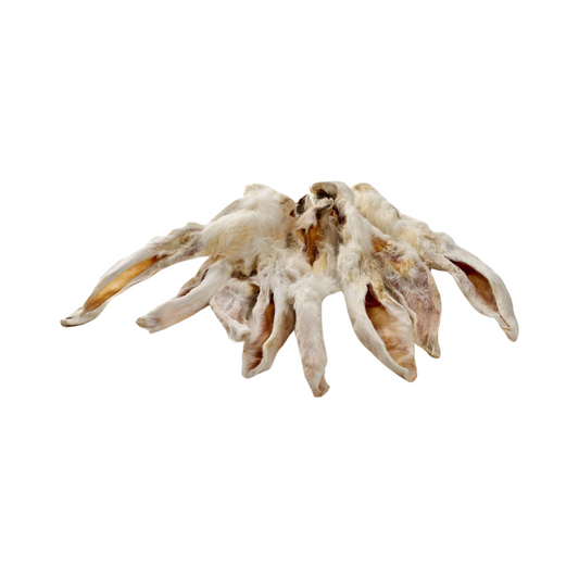 🐶 Oreilles de lapin avec fourrure - Mastication