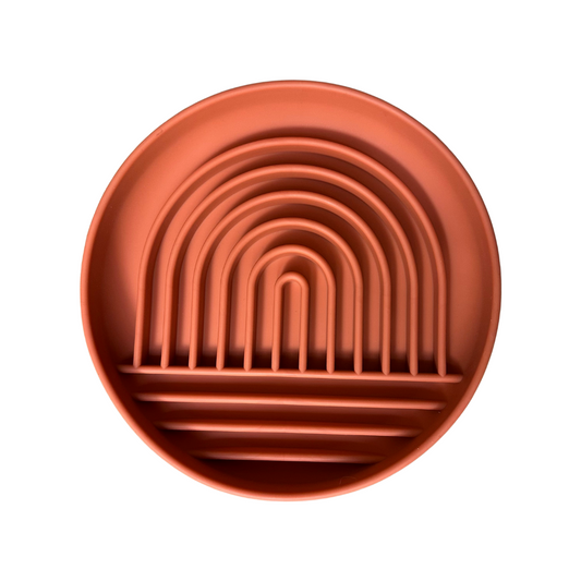 🐶 Bol de léchage à ventouse arc-en-ciel pour chien (Slow feeder) - Les p'tits potes