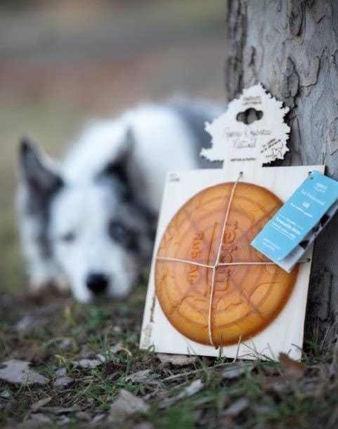 🐶 Frisbee en résine organique - Les p'tits potes