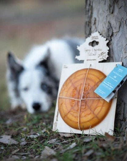 🐶 Frisbee en résine organique - Les p'tits potes