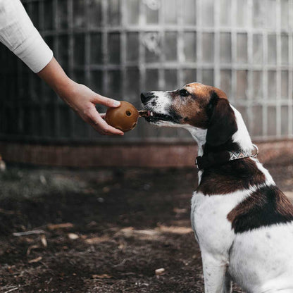 🐶 "BALLE À TROUS" en résine
