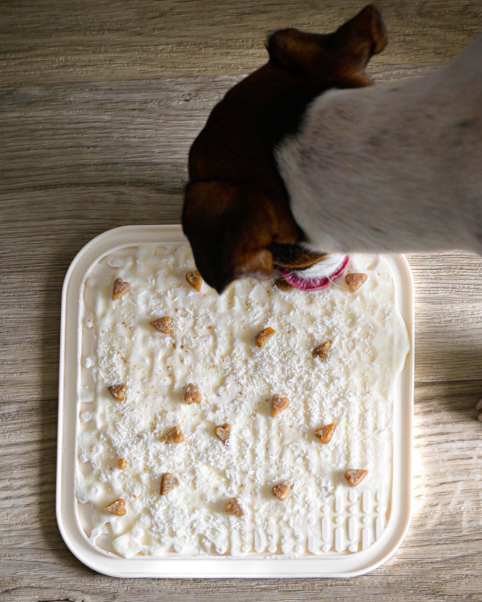 🐶🐱 Tapis de léchage à ventouses - Les p'tits potes