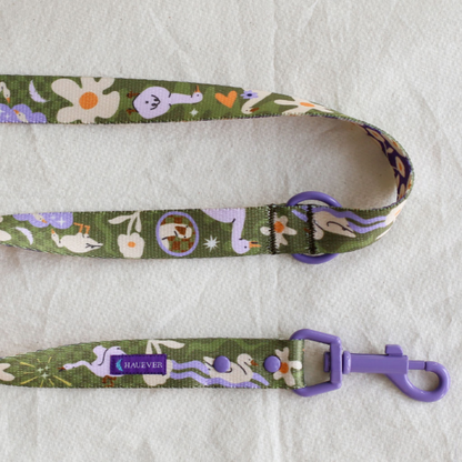 🐶 Laisse 3 points pour chien 250cm (fleurs)
