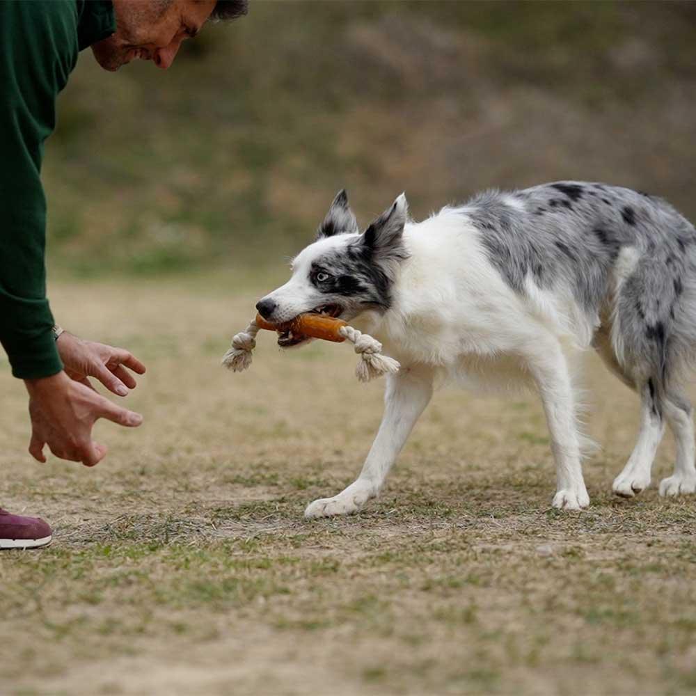 🐶 Jouet en résine organique avec corde - Les p'tits potes