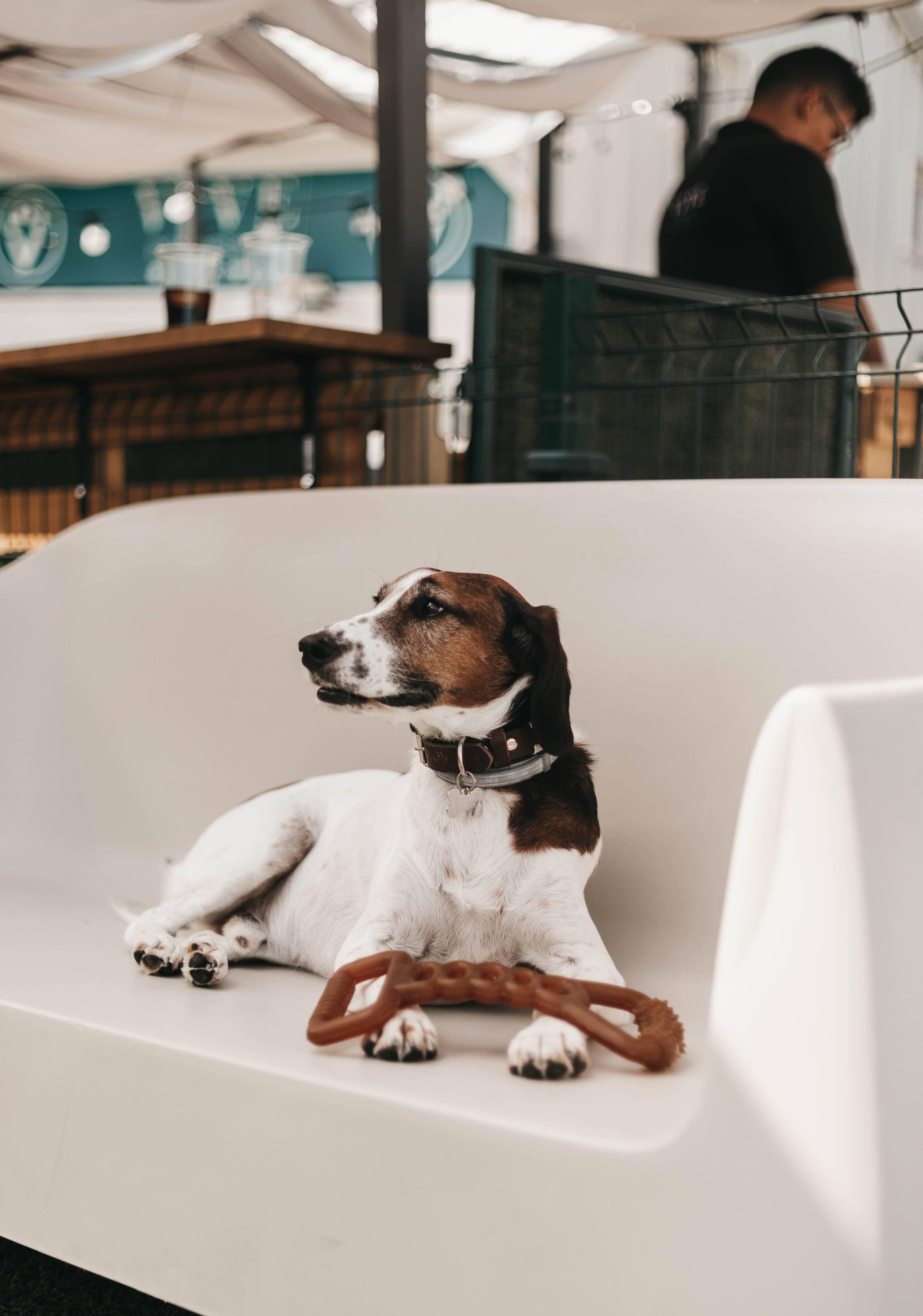 🐶 Jouet "tir à la corde" en résine organique - Les p'tits potes