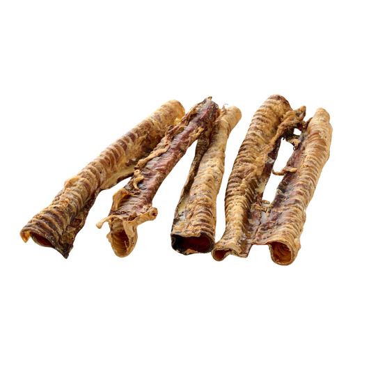 🐶 Trachées de boeuf - Mastication