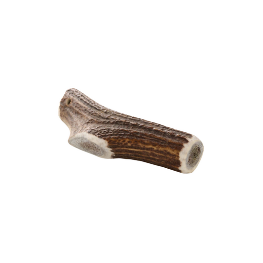 🐶 Bois de cerf - Mastication